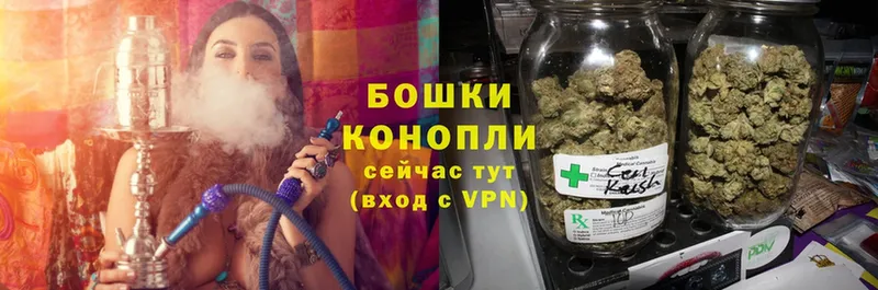 что такое   Камышлов  mega вход  Канабис White Widow 